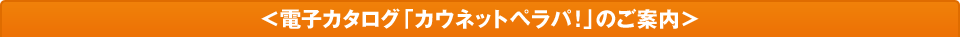 �d�q�J�^���O�u�J�E�l�b�g�y���p�I�v�̂��ē�