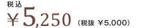 ��5,250�i�Ŕ� ��5,000�j