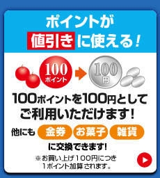 �|�C���g���l�����Ɏg����I
