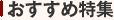 �������ߓ��W