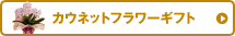 �J�E�l�b�g�t�����[�M�t�g