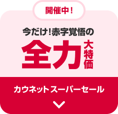 �������I�Ԏ��o��̑S�͑���� �J�E�l�b�g�X�[�p�[�Z�[��