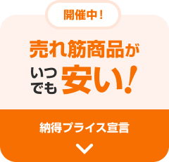 ����؏��i�����ł������I �[���v���C�X�錾