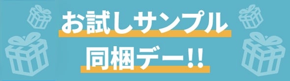 �������T���v�������f�[�I�I