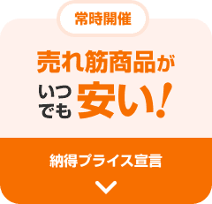 ����؏��i�����ł������I �[���v���C�X�錾