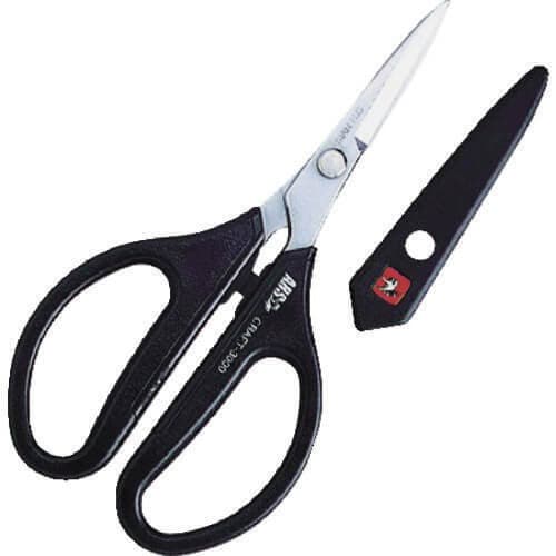 AX̃AXk[{[i\^EXeXj̉摜