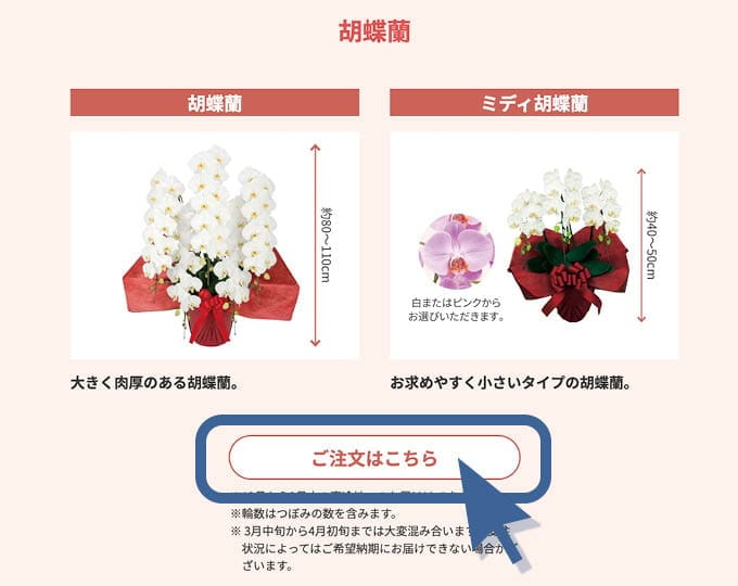 ご注文ページ サンプル画像