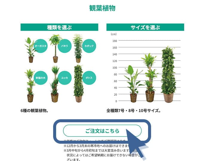 ご注文ページ サンプル画像