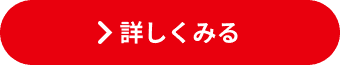 �ڂ����݂�