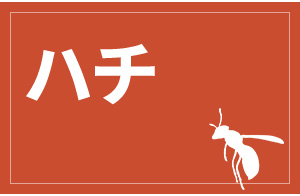 n`