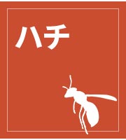 n`