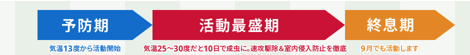\hFC13x犈JnBŐFC25x30x10ŐɁBU쏜Nh~OBIF9ł܂B