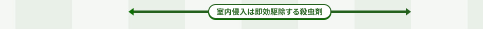 N͑쏜E