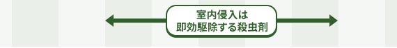 N͑쏜E