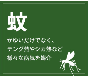  䂢łȂAeOMWJMMȂǗlXȕaC}