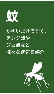  䂢łȂAeOMWJMMȂǗlXȕaC}