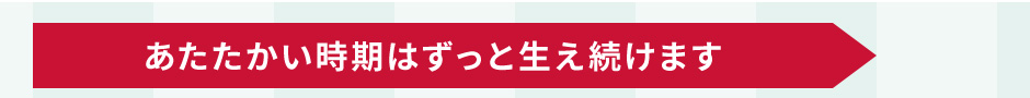 ͂Ɛ܂