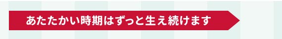 ͂Ɛ܂