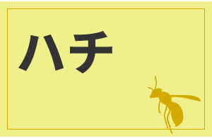 n`