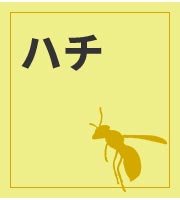 n`