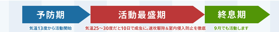 \hFC13x犈JnBŐFC25x30x10ŐɁBU쏜Nh~OBIF9ł܂B