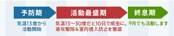 \hFC13x犈JnBŐFC25x30x10ŐɁBU쏜Nh~OBIF9ł܂B