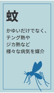  䂢łȂAeOMWJMMȂǗlXȕaC}
