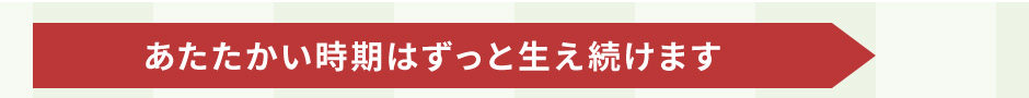 ͂Ɛ܂