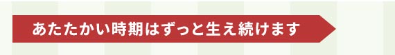 ͂Ɛ܂