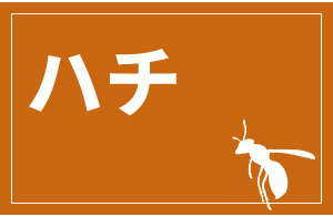 n`
