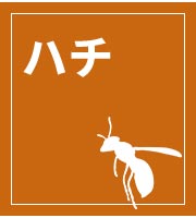 n`