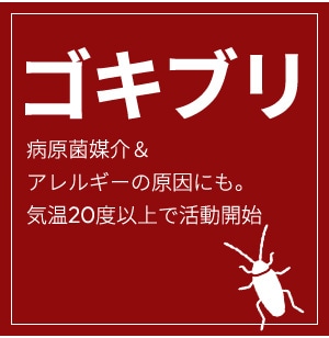 �S�L�u�� �a���۔}��A�����M�[�̌����ɂ��B�C��20�x�ȏ�Ŋ����J�n