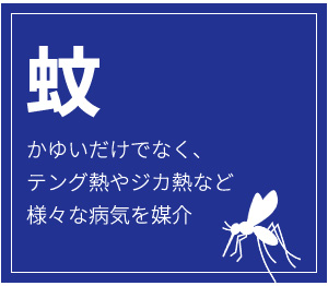  䂢łȂAeOMWJMMȂǗlXȕaC}