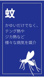  䂢łȂAeOMWJMMȂǗlXȕaC}