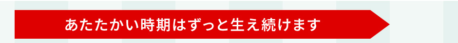 ͂Ɛ܂