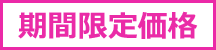 期間限定価格