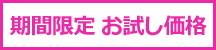 期間限定お試し価格