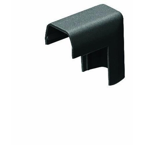 プラモール(出ズミ)