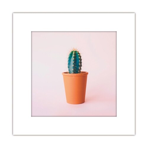 アートトワレ サボテン