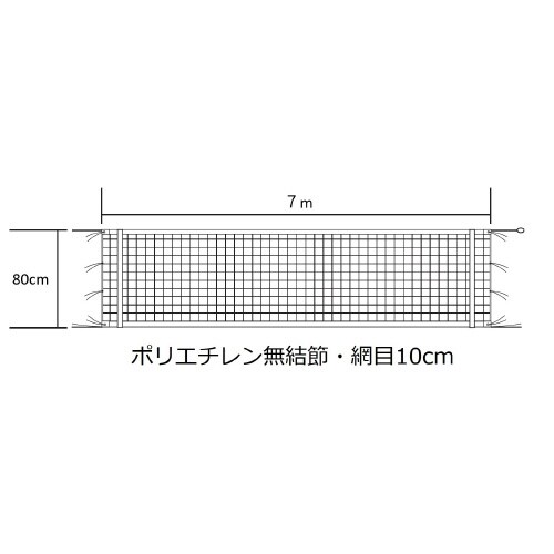 シッティングバレーネット