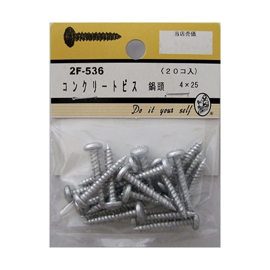 2F536 コンクリートビス鍋頭 20個