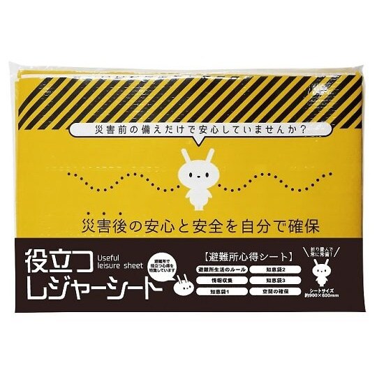 7222 役立つレジャーシート