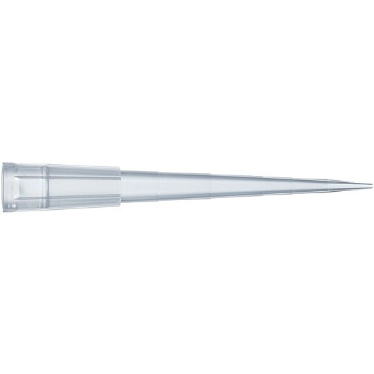 NichimateAQUA Tip (バ