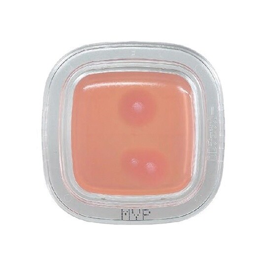 【冷蔵】ぺたんチェックDD MYP寒天培地 1箱