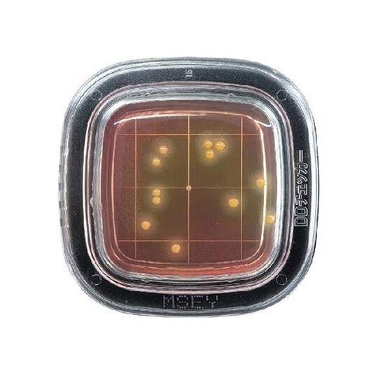 【冷蔵】ぺたんチェックDD MSEY寒天培地 1