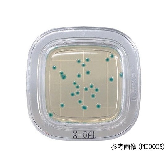 【冷蔵】ぺたんチェックDD X−GAL寒天培地