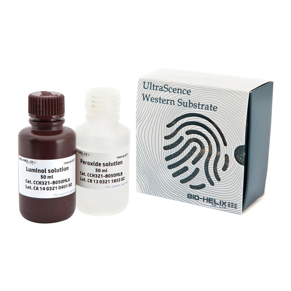 ウェスタンブロット用基質 CCH321−