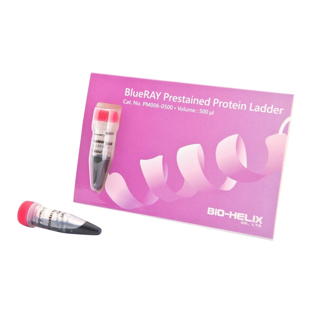 【冷凍】着色済みタンパク質ラダーマーカー PMB