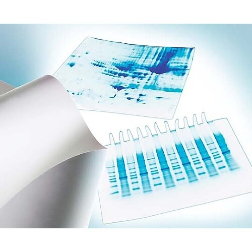 Immobilon−P PVDF 0.4