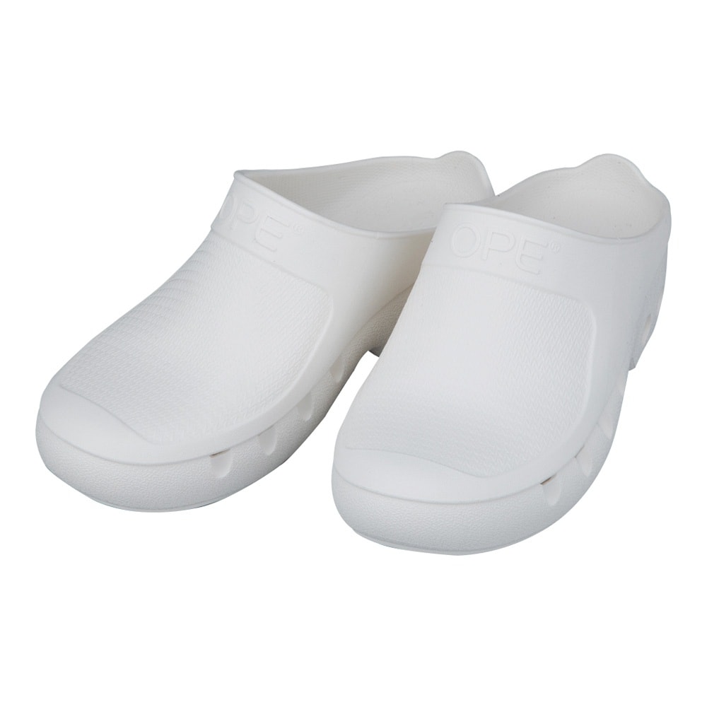 オートクレーブ対応ESDサンダル 2L